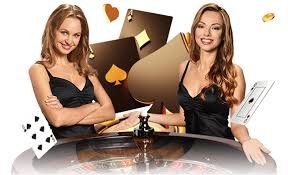 hollywoodbets