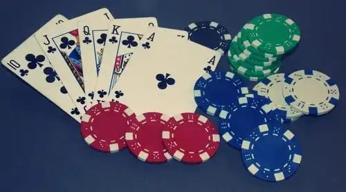 hollywoodbets